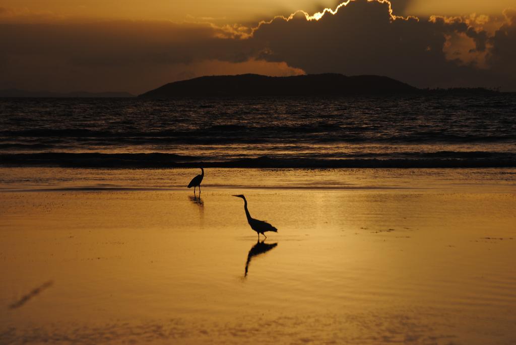 Playa Sardinera Fajardo Peaceful Place מראה חיצוני תמונה